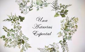 Una Asturias Especial